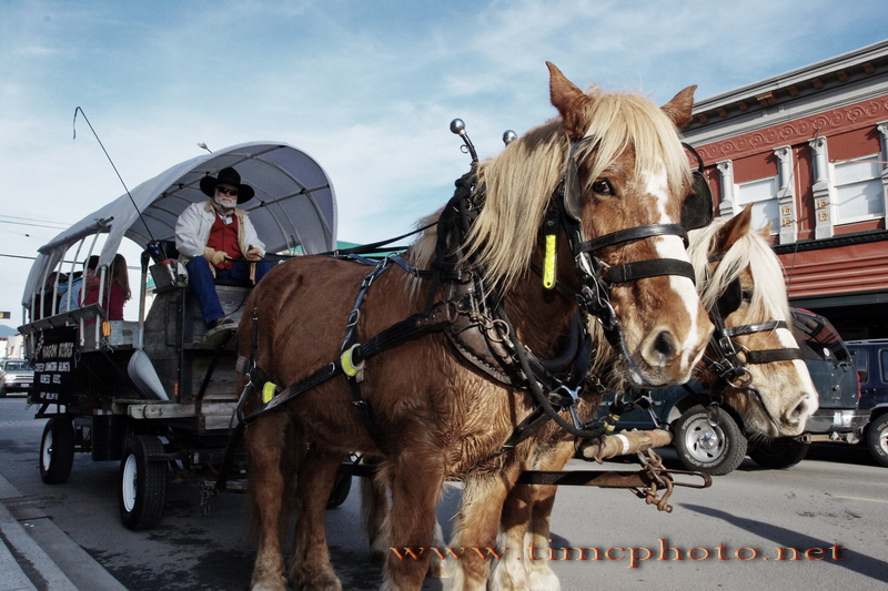 Wagon Ride Anyone