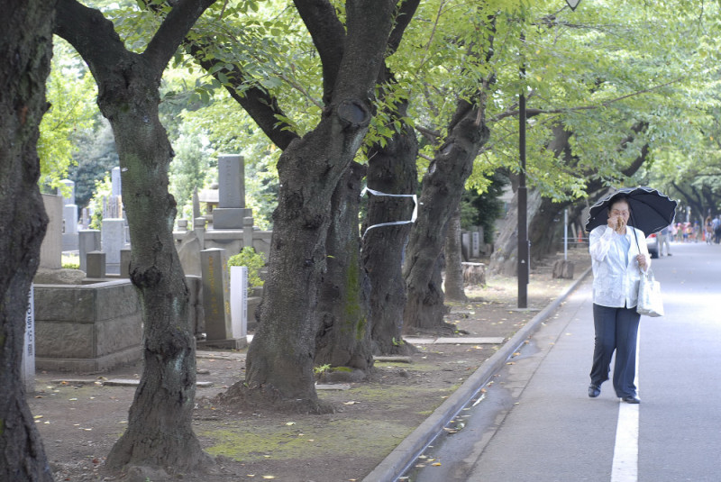 Past and Future in Tokio