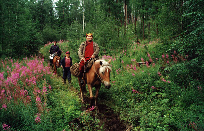 Through the taiga