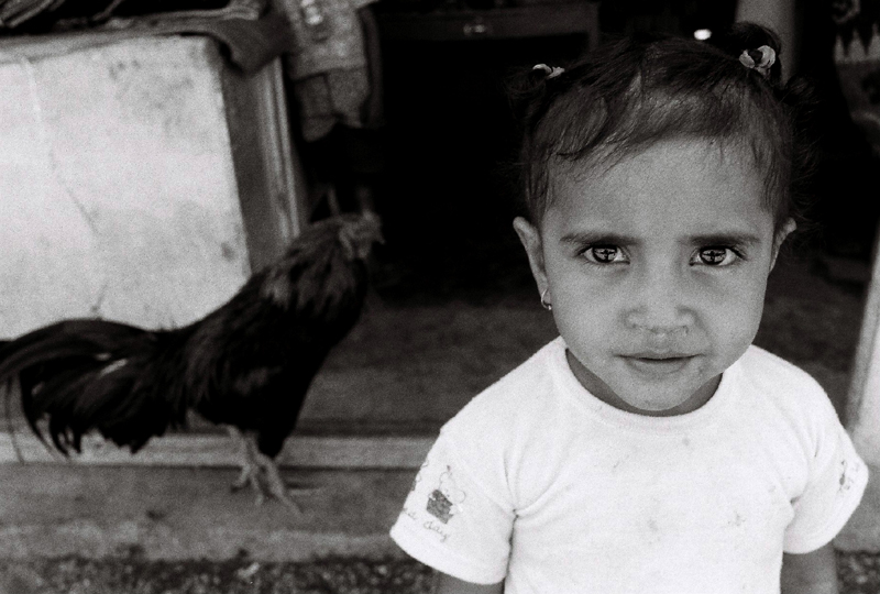 Timor L'este-An Intimate Portrait