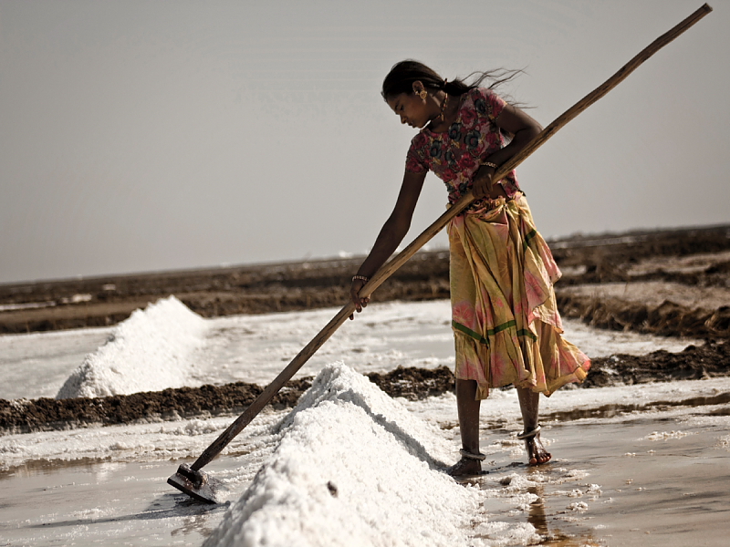 Salt workers, Kutch, India