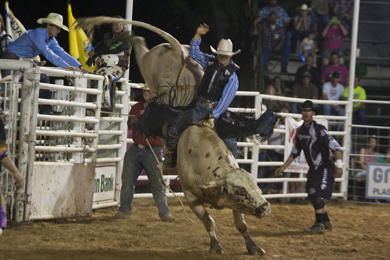 Bull Rider