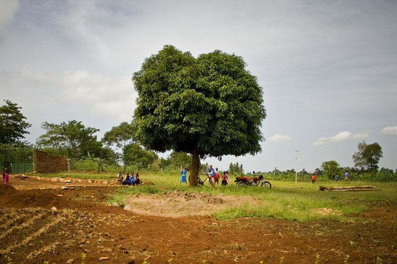 School Grounds