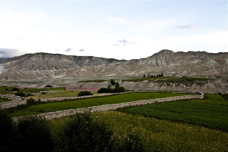 Landscapes around the Lo Manthang in summers