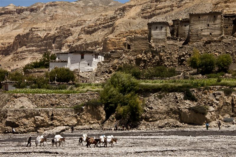 One of the first villages on the way to Lo Manthang, the capital of former kingdom of Lo.