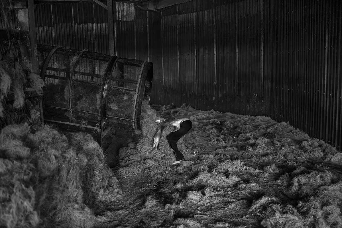 A factory worker pulls long coconut husk fibres from a tumbling machine