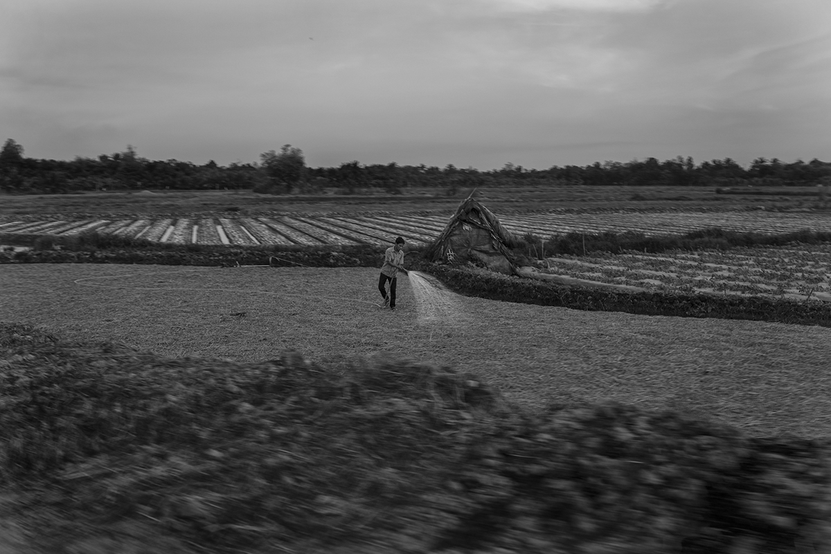 A farmer waters his fields