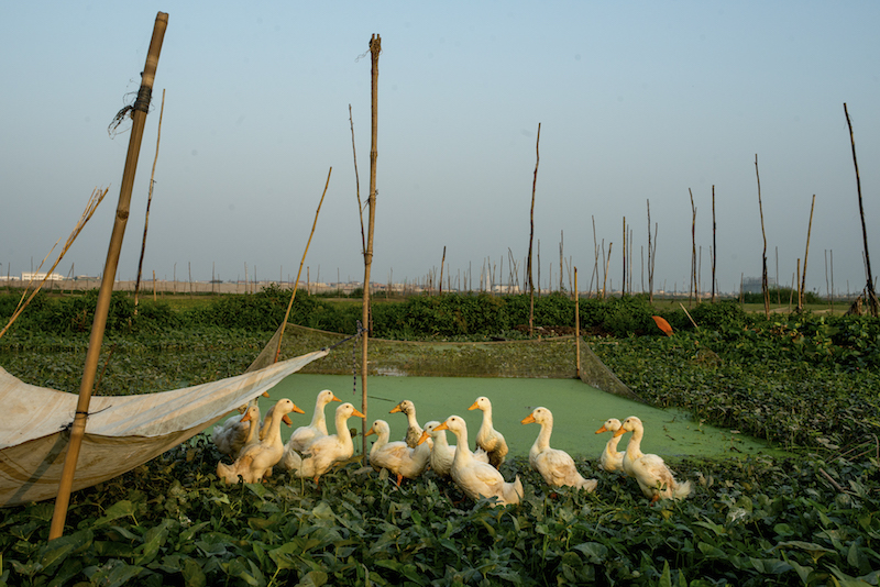 A River's Tale : Cambodia