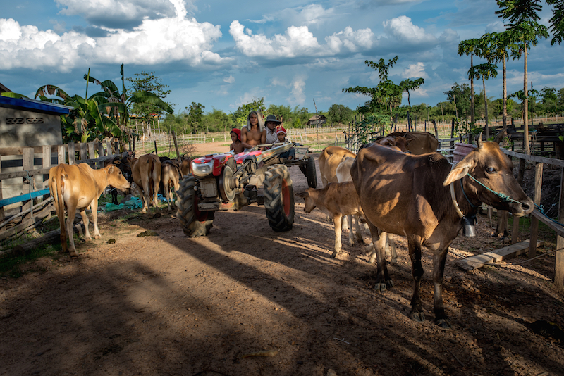 Cambodia Dams