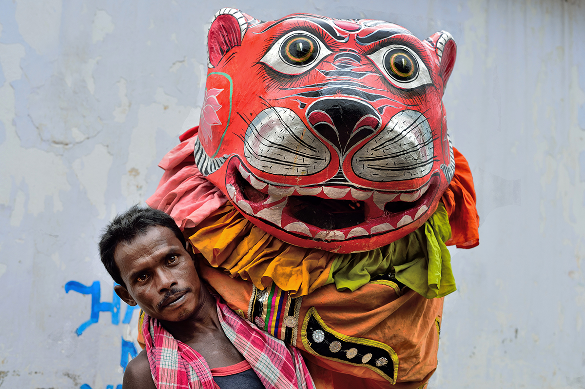 man with the tiger mask