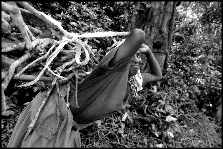 A woman carries firewood.