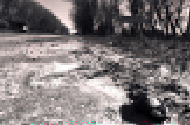 Silences of Chernobyl