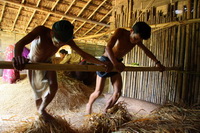 Indigenous Life Of Bangladesh.