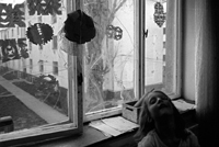 child by window child by window