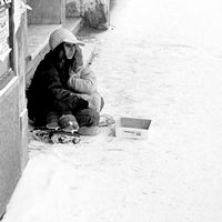 begging regardless of snow II