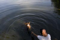 Horse Bathing