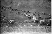 Rural areas, Azerbaijan, 2005