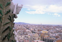 Doves , the gargoyles of peace , over the Barcelona skyline