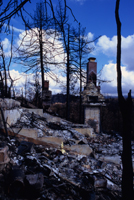 Cedar Glen : After the firestorm