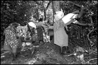 Women cutting firewood.